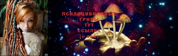 синтетический гашиш Тихвин