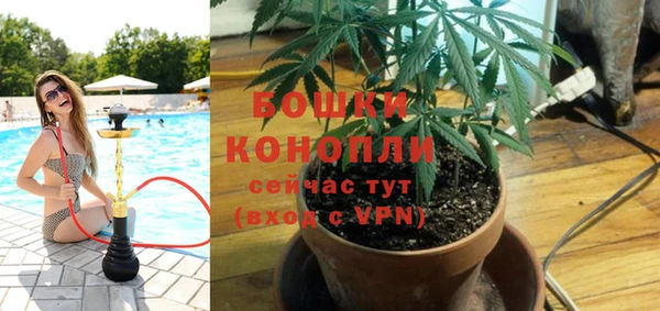 крисы Белоозёрский