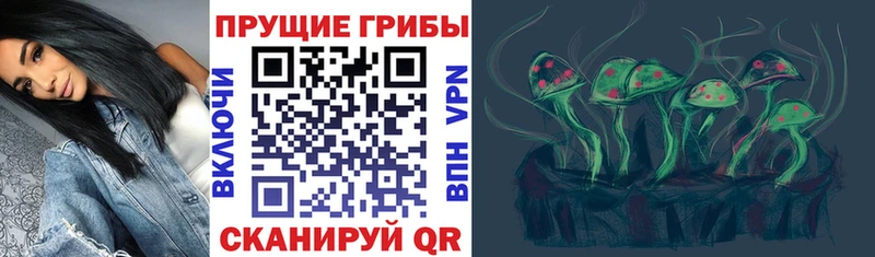 darknet как зайти  Нижний Новгород  Галлюциногенные грибы мицелий 